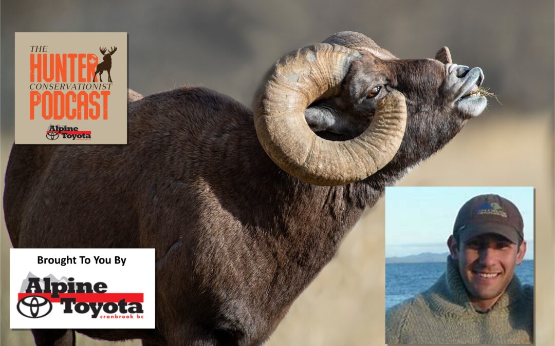 Episode 74 – Kootenay Bighorn Sheep Allocation with Jesse Zeman